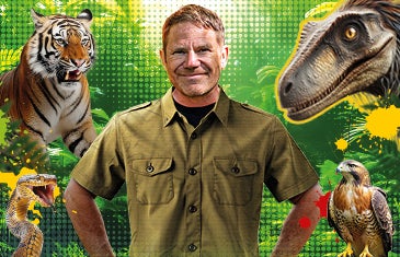 More Info for Steve Backshall's Deadly Live!