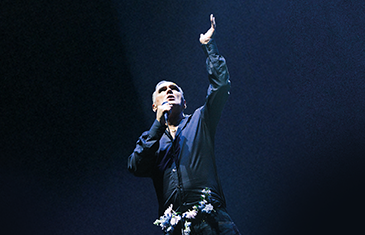 More Info for Morrissey