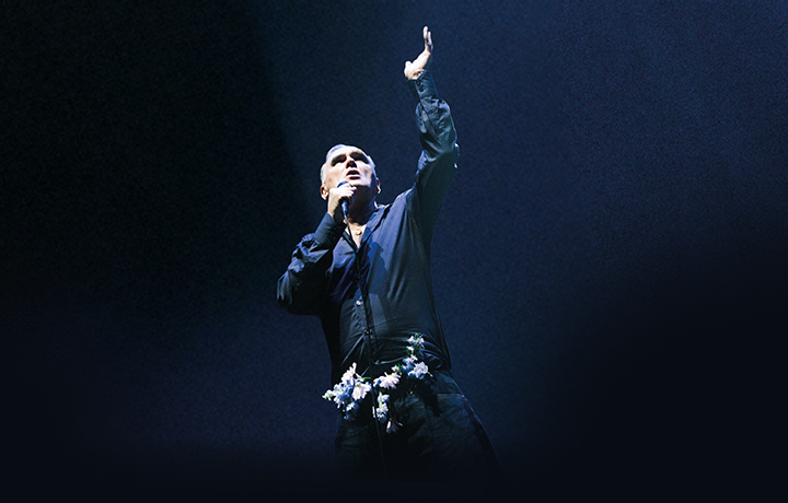 More Info for Morrissey