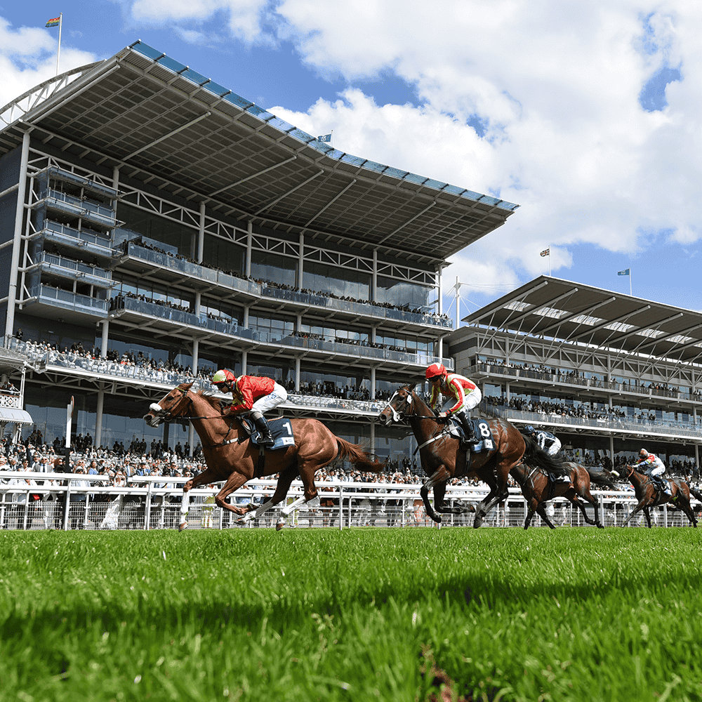 Horse racing action in front of a packed grandstand, with jockeys riding at speed past the crowd under a blue sky. Legends Global - 1000 x 1000 px